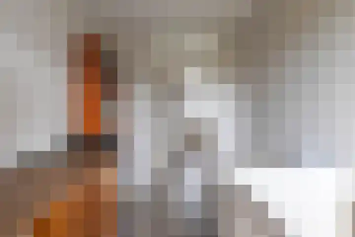Koekoek 1 Heemskerk thumbnail 30