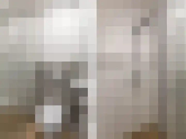 Koekoek 1 Heemskerk thumbnail 32