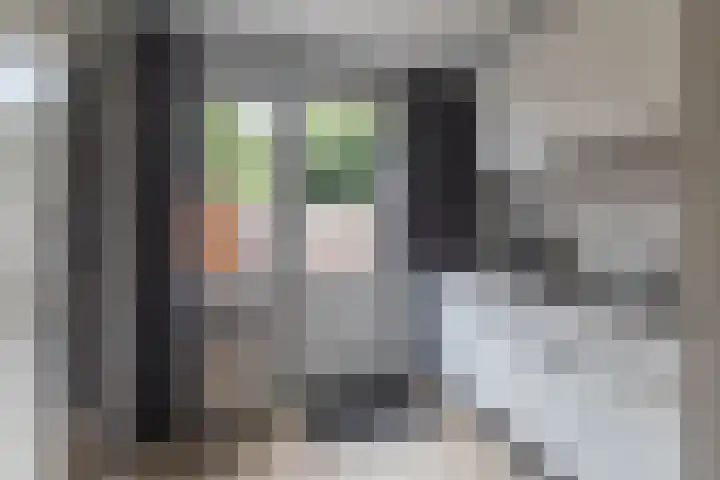 Koekoek 1 Heemskerk thumbnail 4