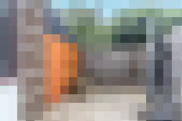 Koekoek 1 Heemskerk thumbnail 6