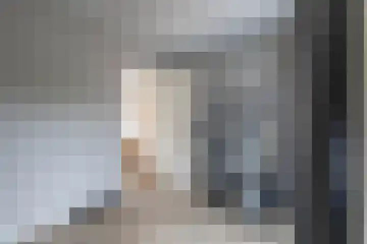 Koekoek 1 Heemskerk thumbnail 7