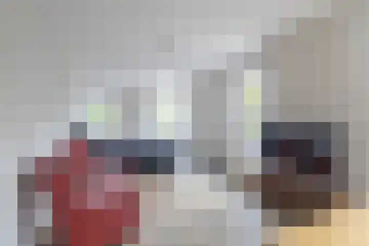 Koekoek 1 Heemskerk thumbnail 9