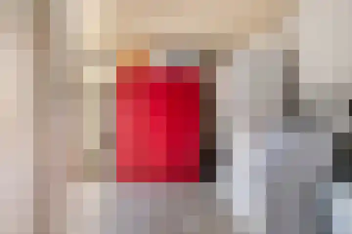 Koekoek 14 Siebengewald thumbnail 12