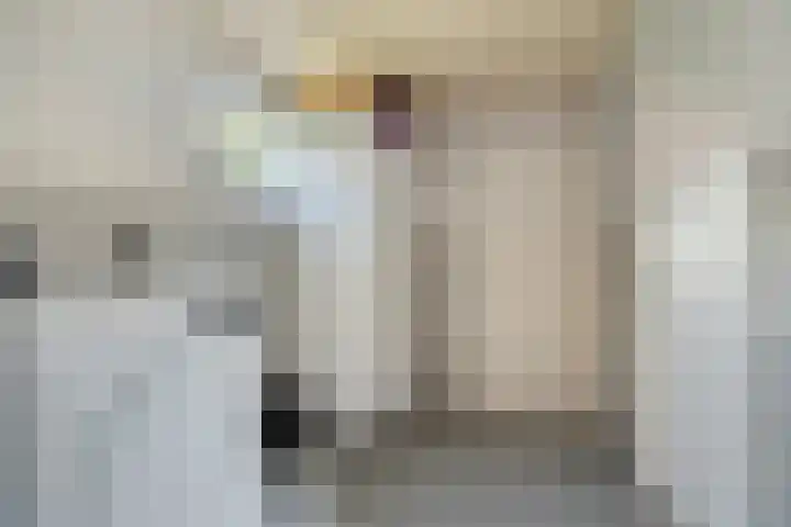 Koekoek 14 Siebengewald thumbnail 14