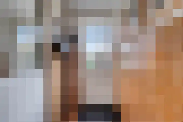 Koekoek 14 Siebengewald thumbnail 15