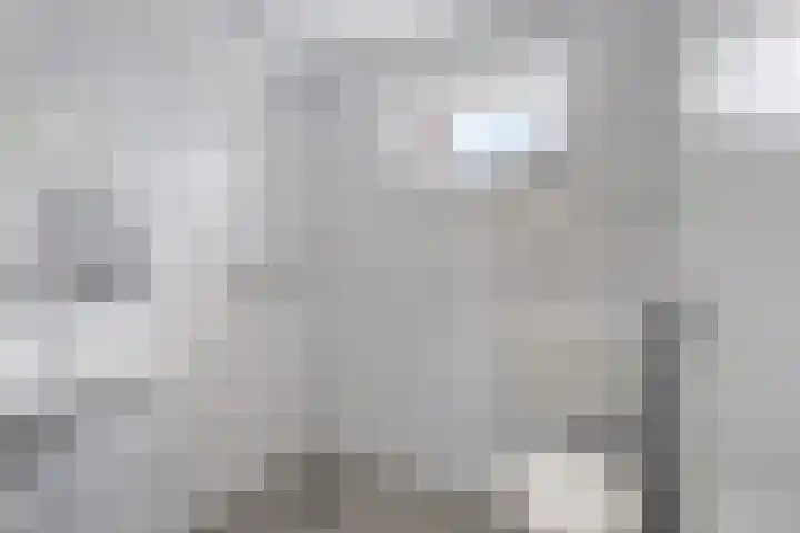 Koekoek 14 Siebengewald thumbnail 16