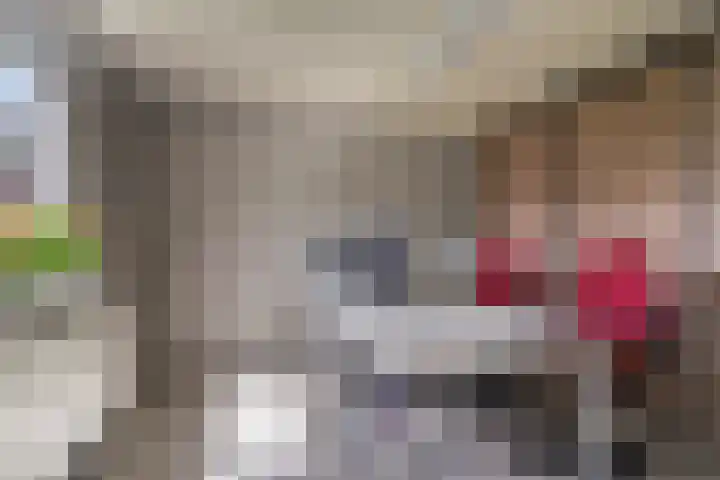 Koekoek 14 Siebengewald thumbnail 17