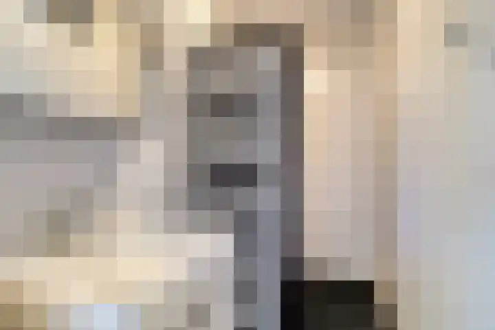 Koekoek 14 Siebengewald thumbnail 20