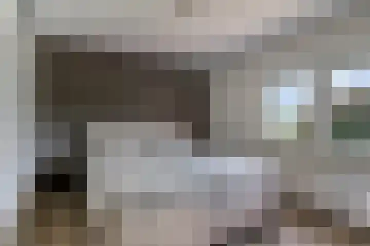 Koekoek 14 Siebengewald thumbnail 22