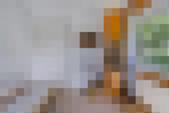 Koekoek 14 Siebengewald thumbnail 25