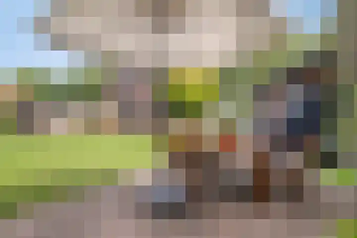 Koekoek 14 Siebengewald thumbnail 30