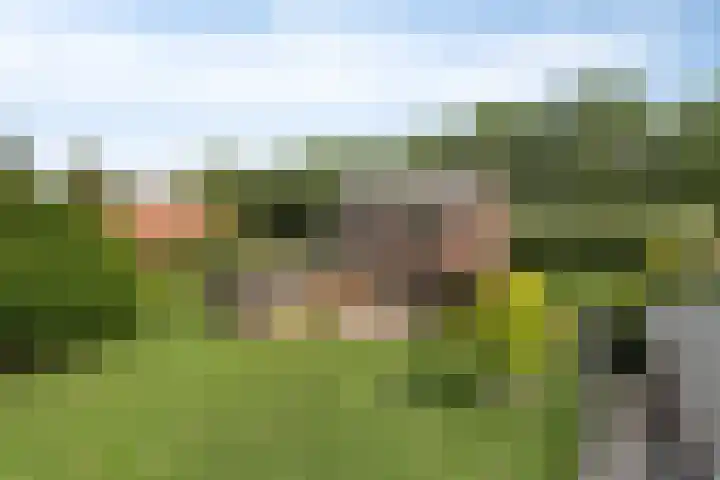 Koekoek 14 Siebengewald thumbnail 32