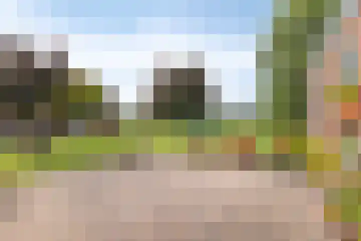 Koekoek 14 Siebengewald thumbnail 33