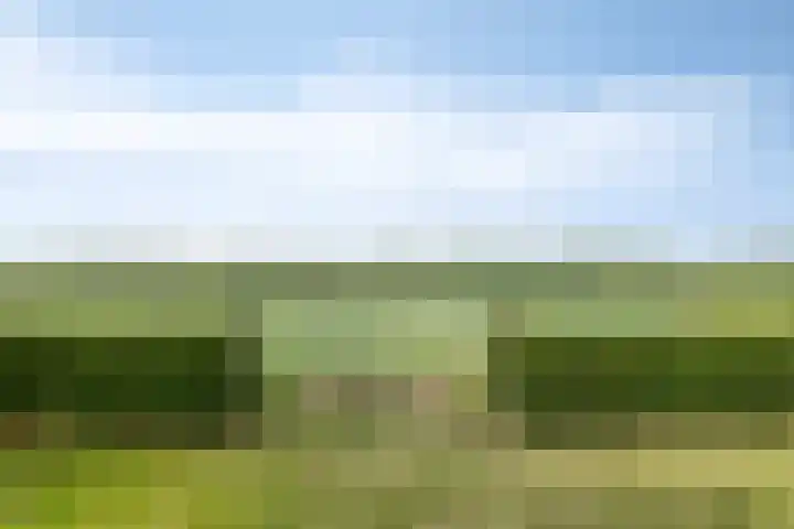 Koekoek 14 Siebengewald thumbnail 34