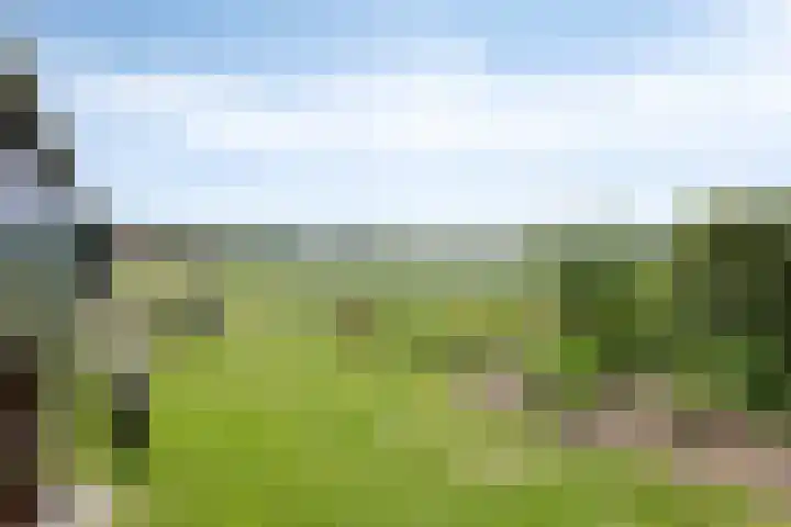 Koekoek 14 Siebengewald thumbnail 36