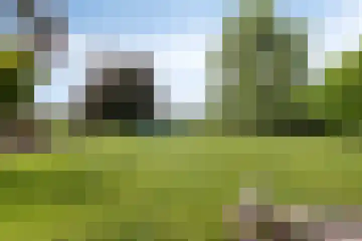 Koekoek 14 Siebengewald thumbnail 37