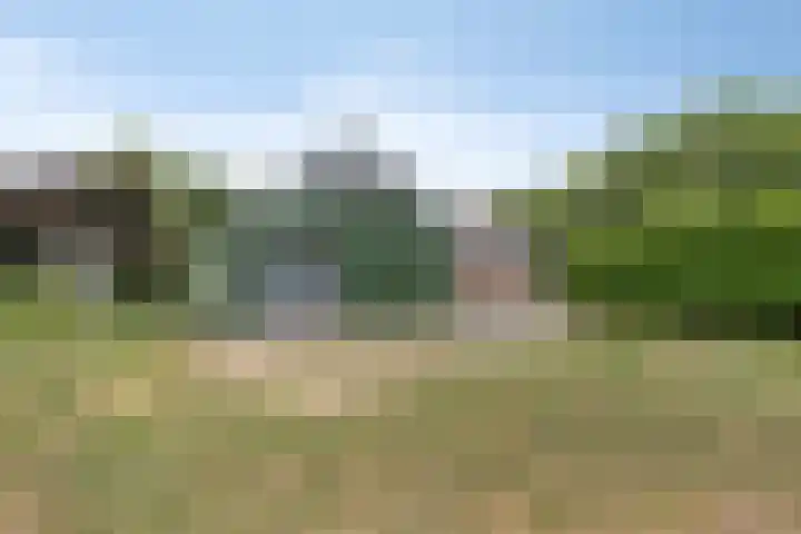 Koekoek 14 Siebengewald thumbnail 38