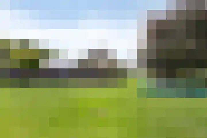Koekoek 14 Siebengewald thumbnail 39