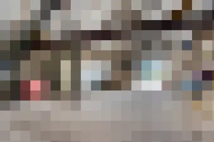 Koekoek 14 Siebengewald thumbnail 40
