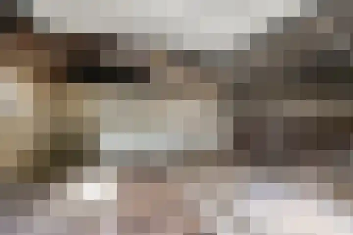 Koekoek 14 Siebengewald thumbnail 42
