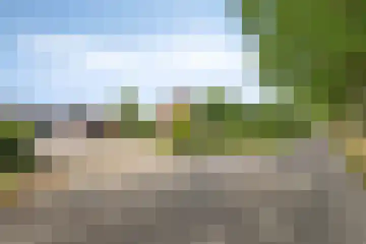 Koekoek 14 Siebengewald thumbnail 44