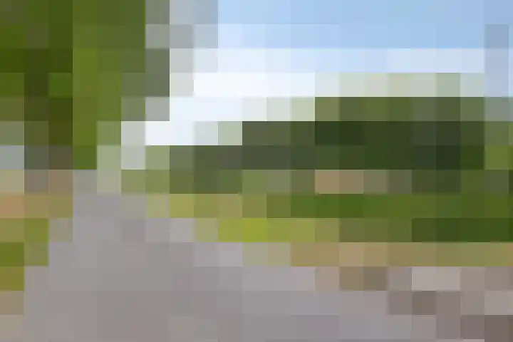 Koekoek 14 Siebengewald thumbnail 45