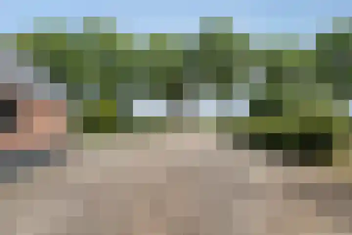 Koekoek 14 Siebengewald thumbnail 46