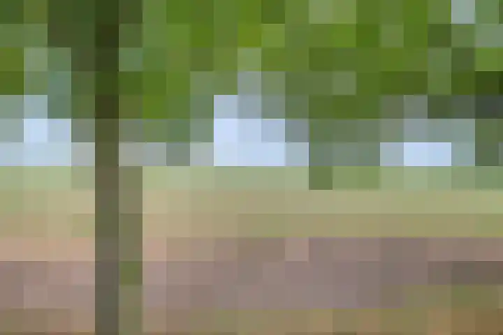 Koekoek 14 Siebengewald thumbnail 49