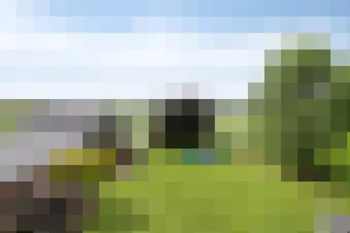 Koekoek 14 Siebengewald thumbnail 51