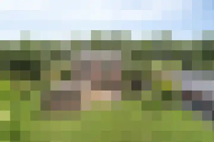 Koekoek 14 Siebengewald thumbnail 53