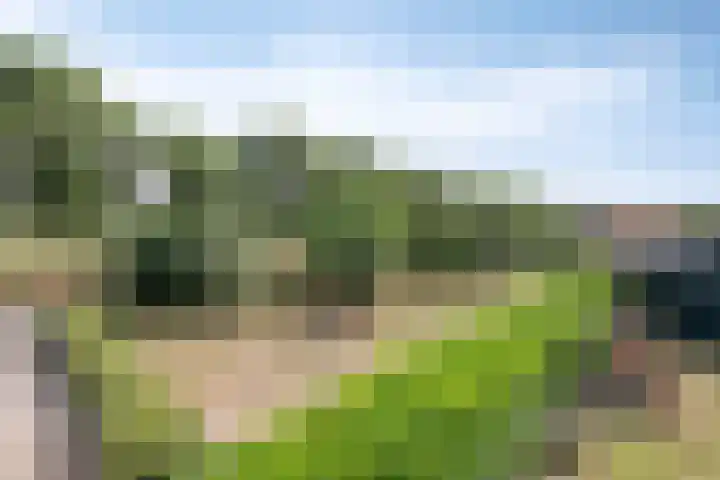 Koekoek 14 Siebengewald thumbnail 54