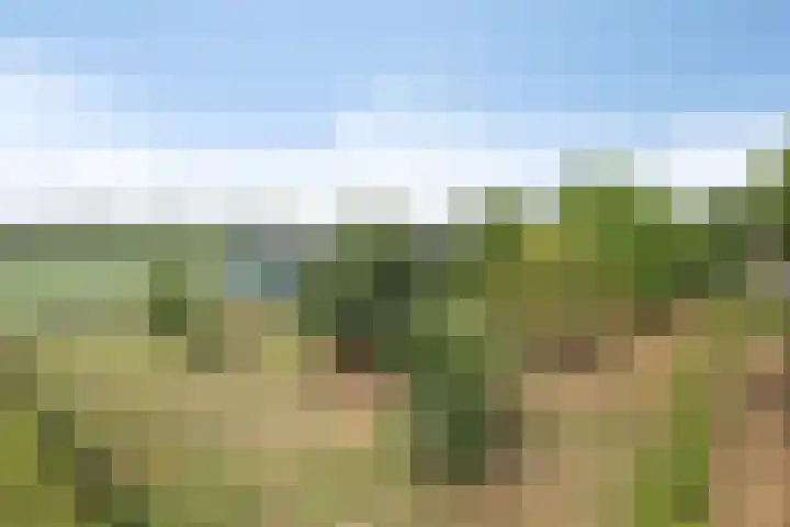 Koekoek 14 Siebengewald thumbnail 55