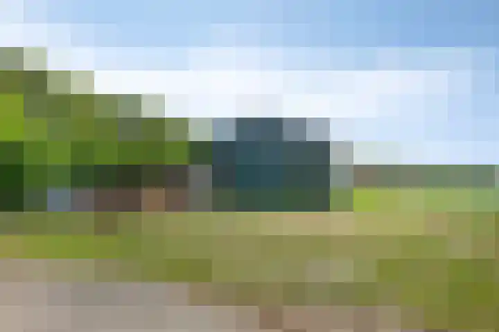 Koekoek 14 Siebengewald thumbnail 56
