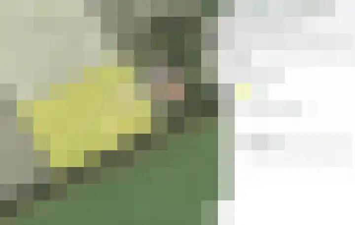 Koekoek 14 Siebengewald thumbnail 57