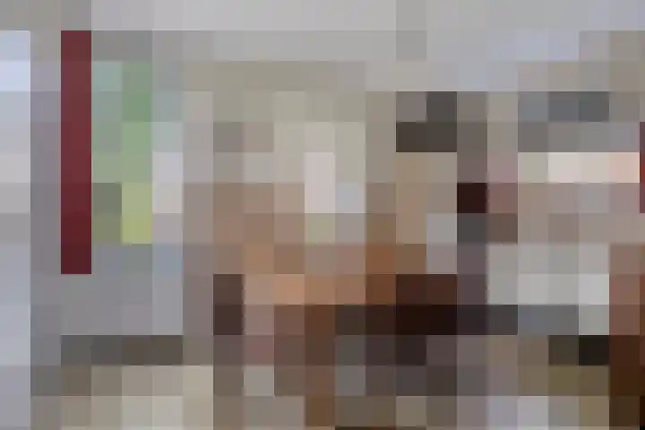 Koekoek 14 Siebengewald thumbnail 8