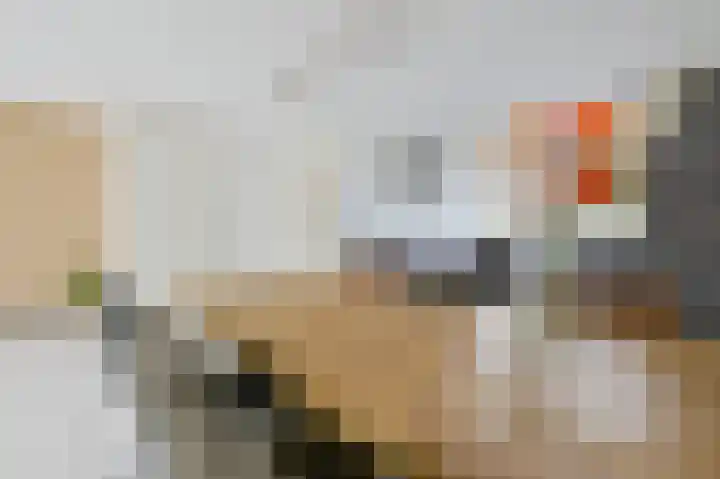 Koekoek 24 Uithoorn thumbnail 11