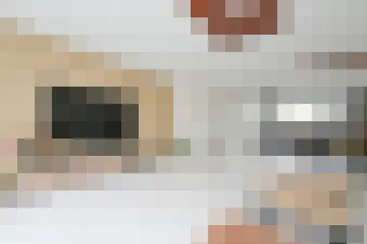 Koekoek 24 Uithoorn foto 2