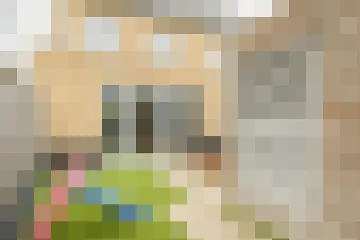 Koekoek 24 Uithoorn thumbnail 30