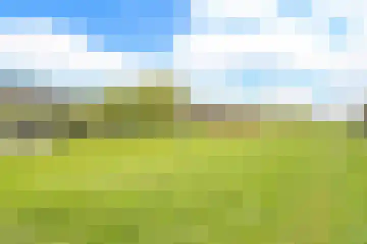 Koekoek 24 Uithoorn thumbnail 37