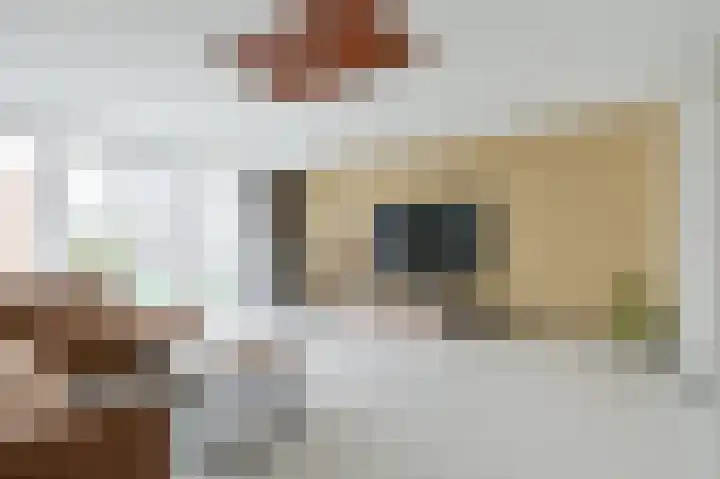 Koekoek 24 Uithoorn thumbnail 6
