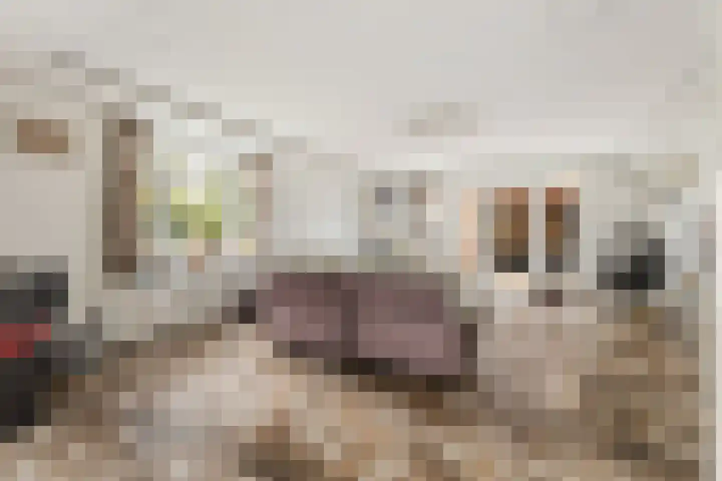Koekoek 34 Uithoorn thumbnail 6