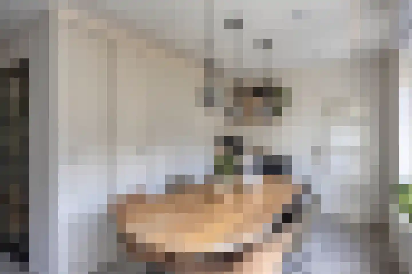 Koekoek 4 Rijswijk (NB) thumbnail 10