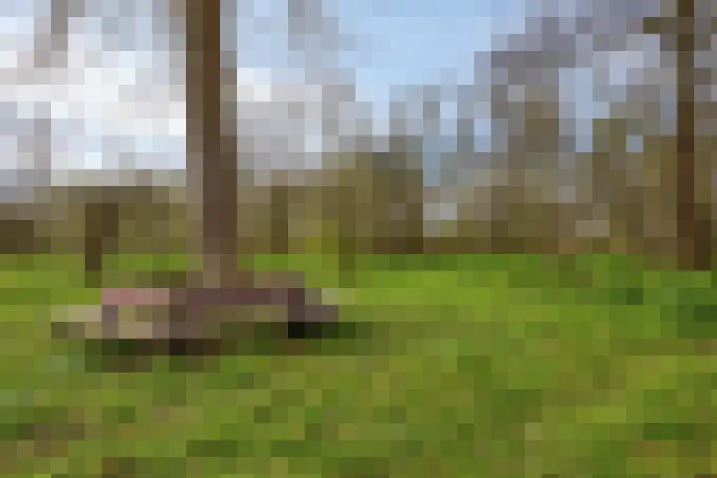 Koekoek 4 Rijswijk (NB) thumbnail 28
