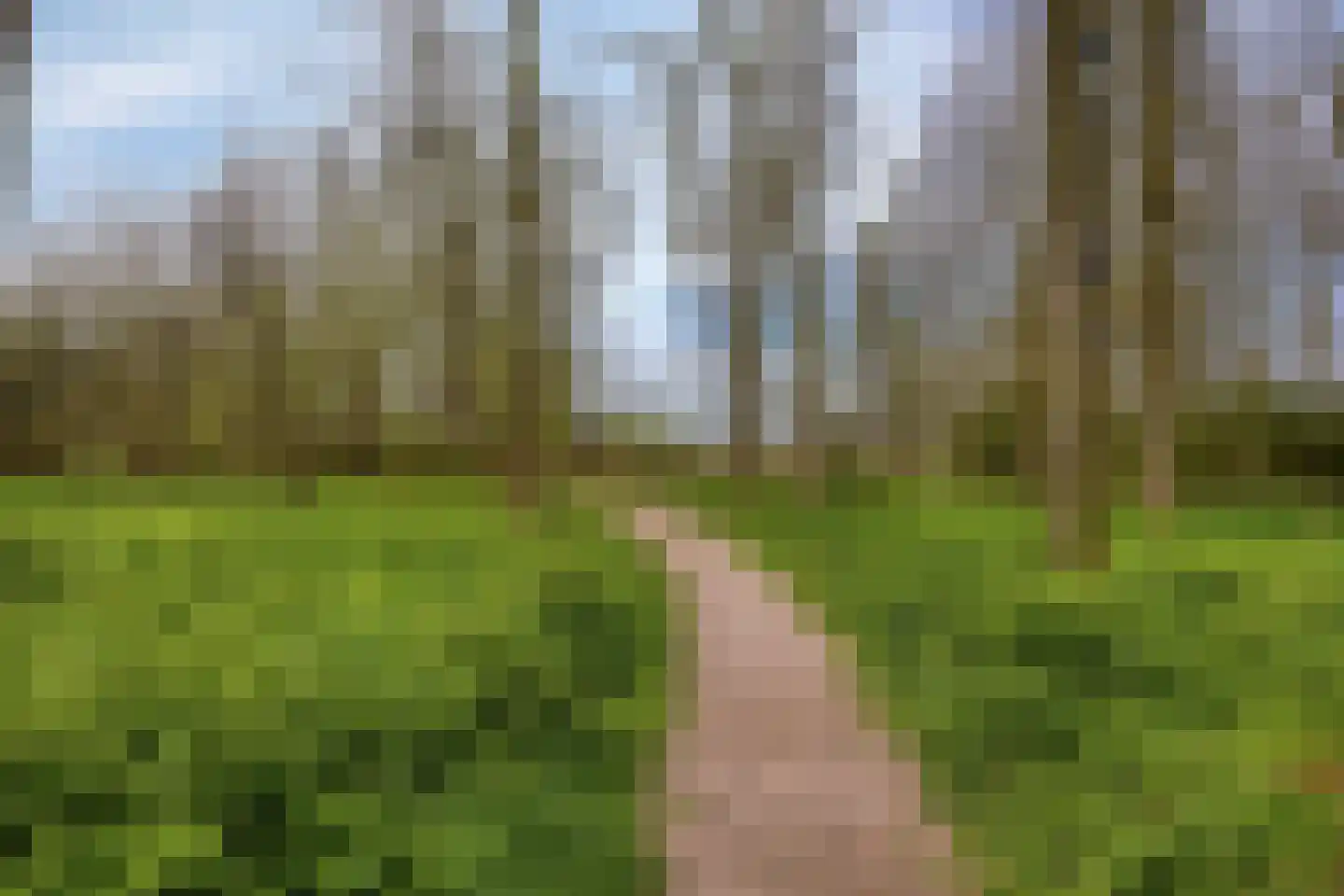 Koekoek 4 Rijswijk (NB) thumbnail 4