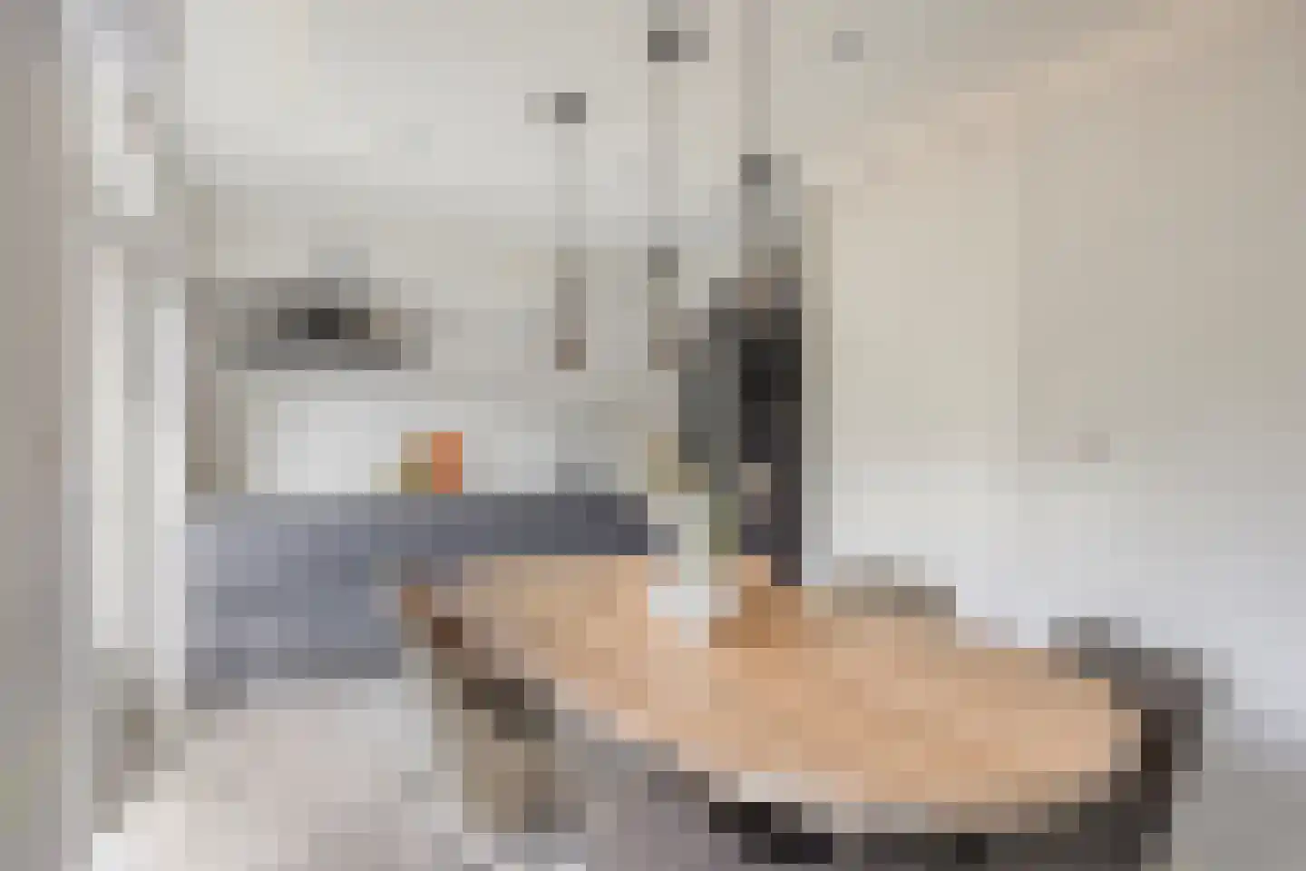 Koekoek 4 Rijswijk (NB) thumbnail 9