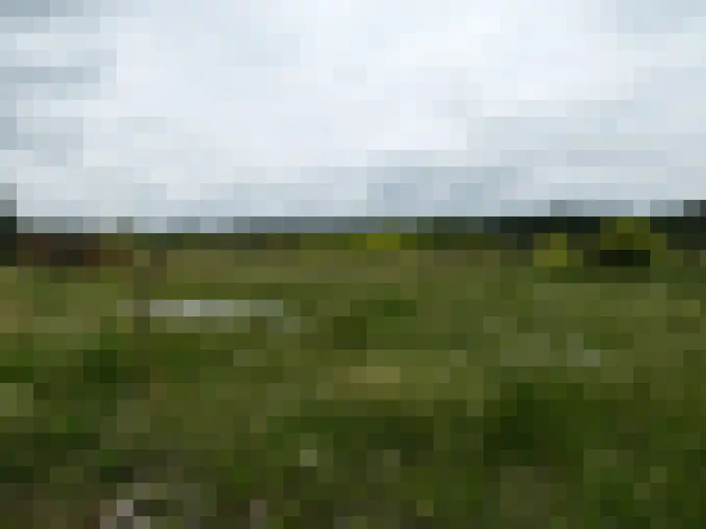 Koekoek 4 Siebengewald thumbnail 12