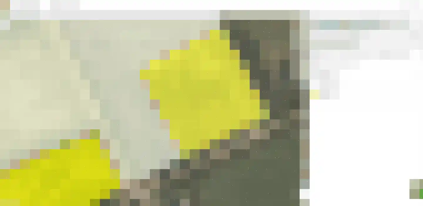 Koekoek 4 Siebengewald thumbnail 14