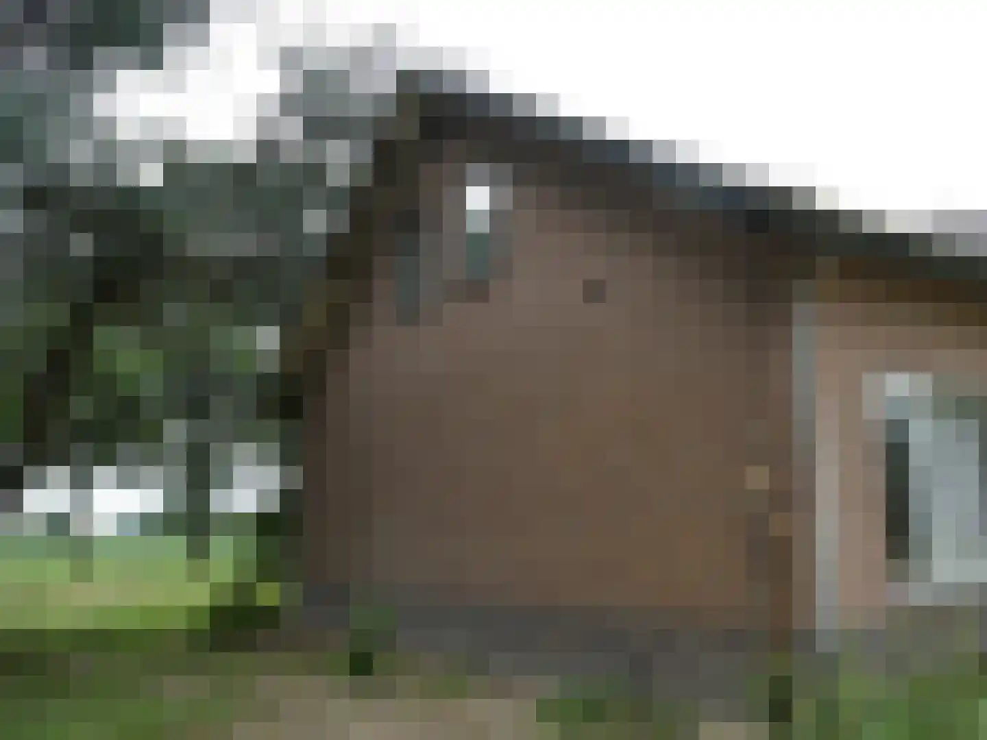 Koekoek 4 Siebengewald thumbnail 6