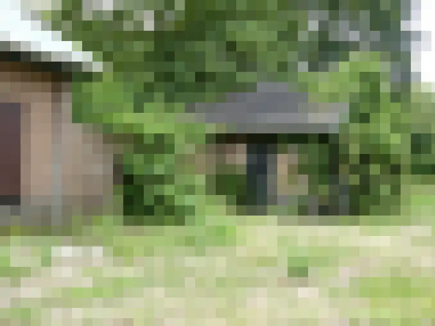 Koekoek 4 Siebengewald thumbnail 8