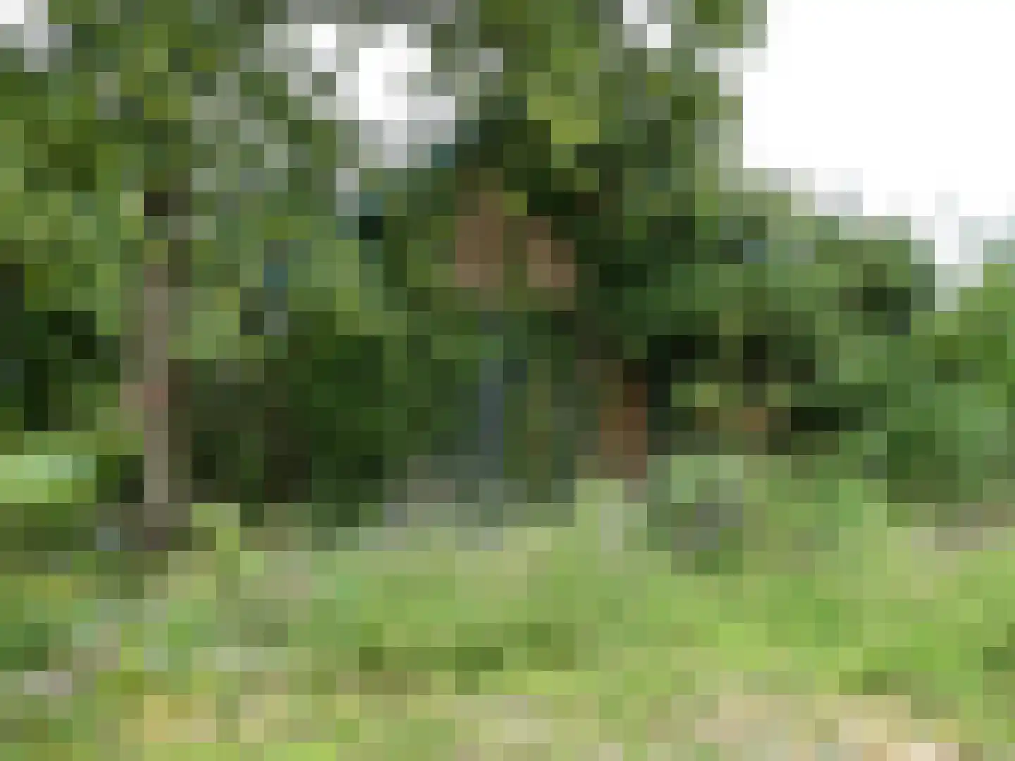 Koekoek 4 Siebengewald thumbnail 9
